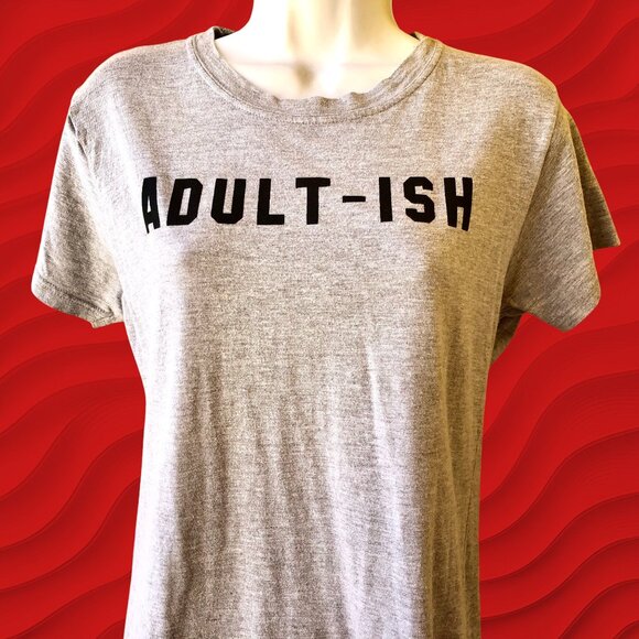 Gray T-Shirt ADULT-ISH Womens XL by Tultex - Picture 3 of 7